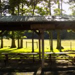 Shelter #1