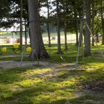 Swings around Shelter 1 & 2