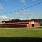 Horse Barn
